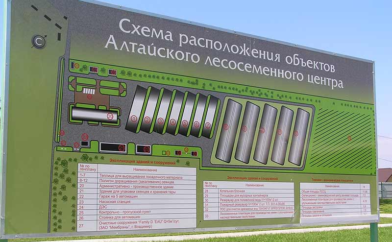 altai-1.jpg