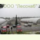 Территория лесопитомника